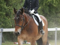 270872_10150929547428585_997643107_n_web